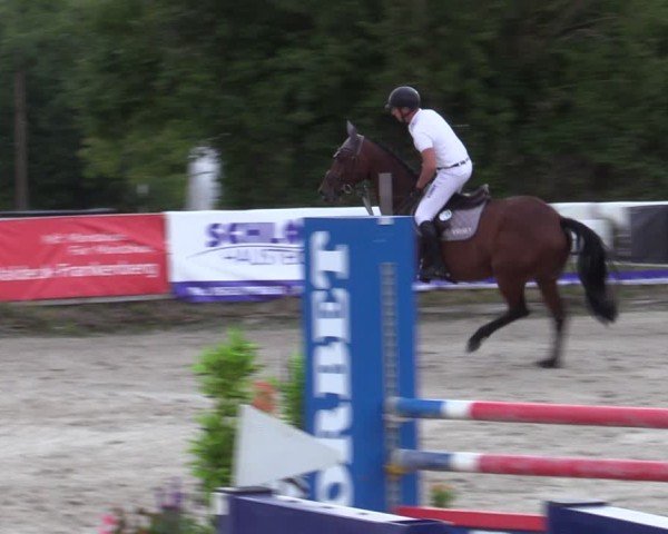 Reitturnier Bad Wildungen 2025