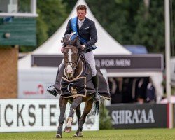 jumper Caloro Ex Z (Zangersheide riding horse, 2008, from Candillo Z)