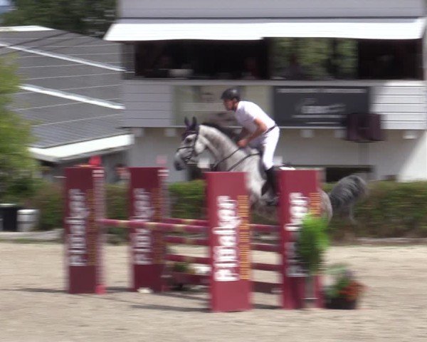 Reitturnier Bad Wildungen 2025