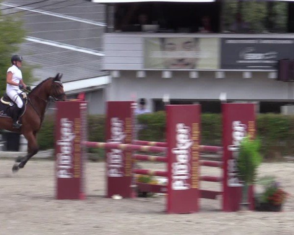 Reitturnier Bad Wildungen 2025