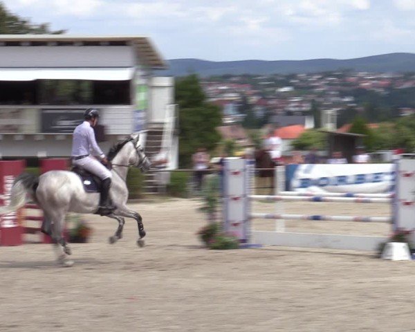Reitturnier Bad Wildungen 2025