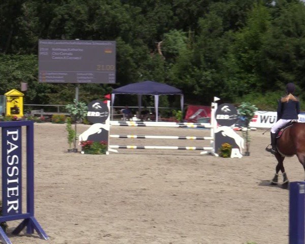 Reitturnier Bad Wildungen 2025