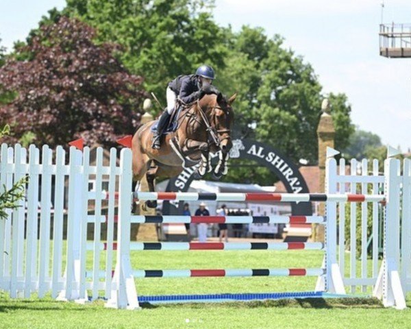 jumper Just Do It V.e. (KWPN (Royal Dutch Sporthorse), 2014, from Carrera VDL)
