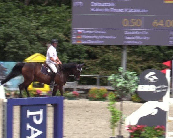 Reitturnier Bad Wildungen 2025