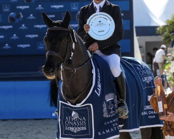 jumper Galerius (KWPN (Royal Dutch Sporthorse), 2011, from Diamant de Semilly)