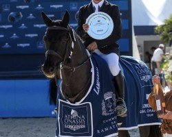 jumper Galerius (KWPN (Royal Dutch Sporthorse), 2011, from Diamant de Semilly)
