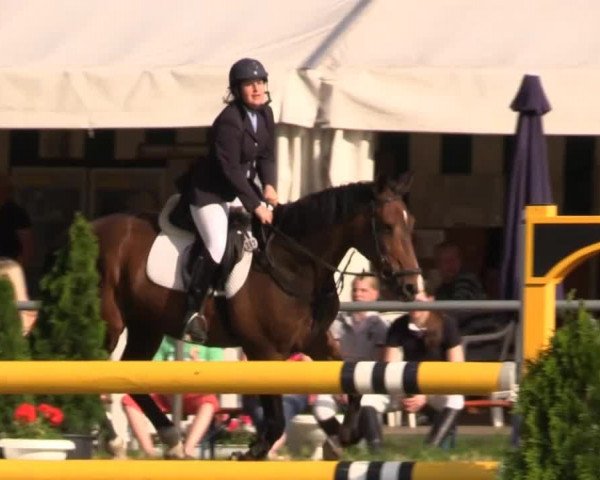 Pfingst-Reitturnier Kreuzkrug-Raddestorf 2014
