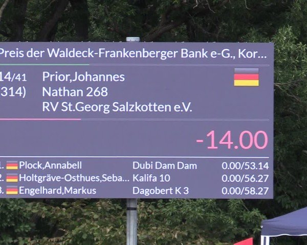 Reitturnier Bad Wildungen 2025
