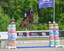 Springpferd Lancaster (KWPN (Niederländisches Warmblut), 2016, von Tangelo van de Zuuthoeve)