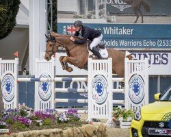 jumper Rumbolds Warriors Echo (anglo european sporthorse, 2009, from Warrior)