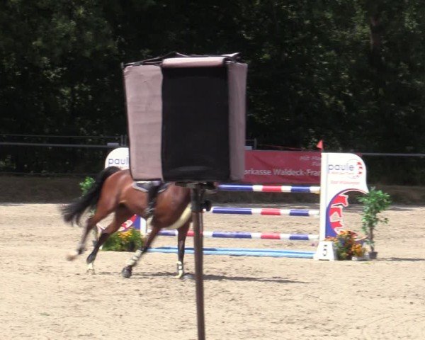 Reitturnier Bad Wildungen 2025