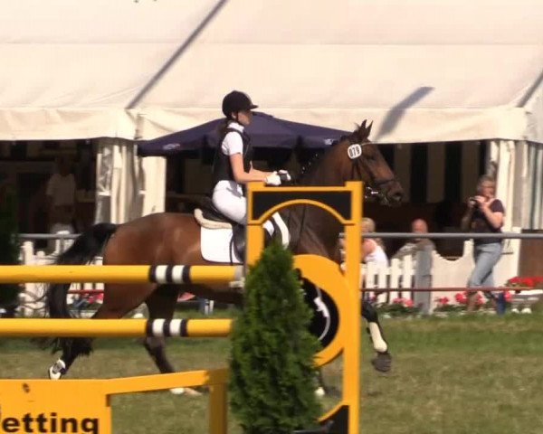 Pfingst-Reitturnier Kreuzkrug-Raddestorf 2014