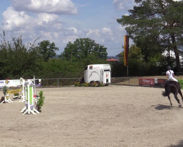 Reitturnier Bad Wildungen 2025