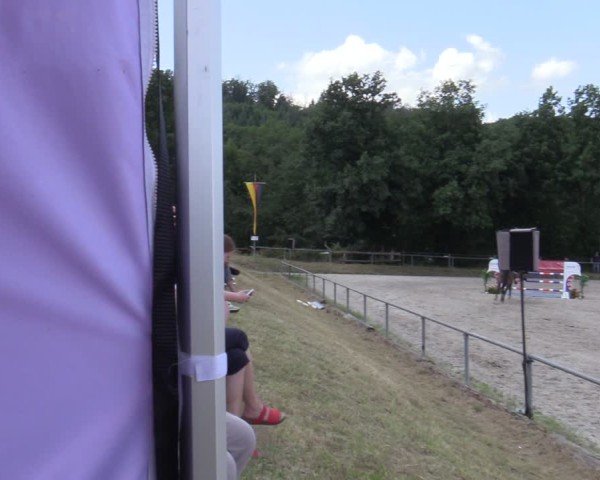 Reitturnier Bad Wildungen 2025