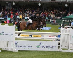 jumper Upperclass (KWPN (Royal Dutch Sporthorse), 2001, from Concorde)