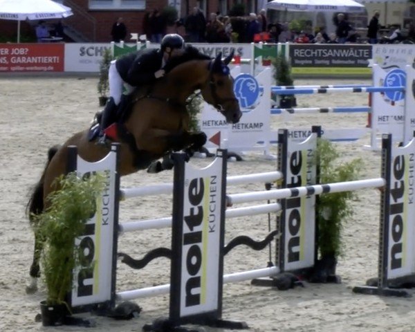 jumper Lulu Schroeder (Holsteiner, 2018, from Uriko)
