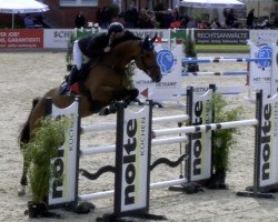 jumper Lulu Schroeder (Holsteiner, 2018, from Uriko)