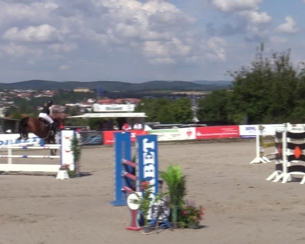 Reitturnier Bad Wildungen 2025