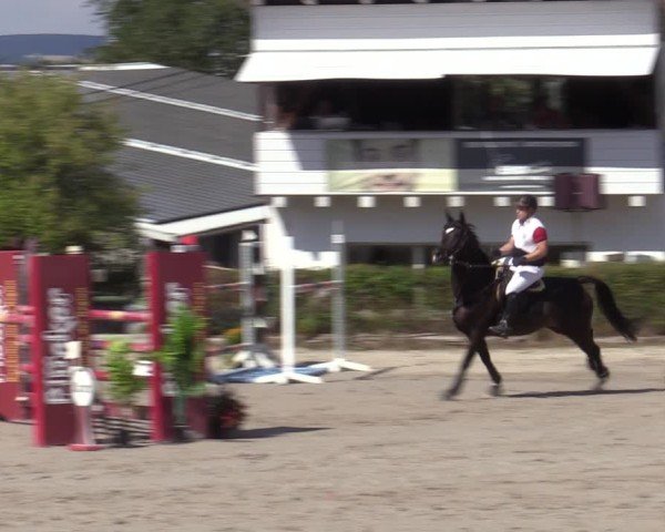 Reitturnier Bad Wildungen 2025