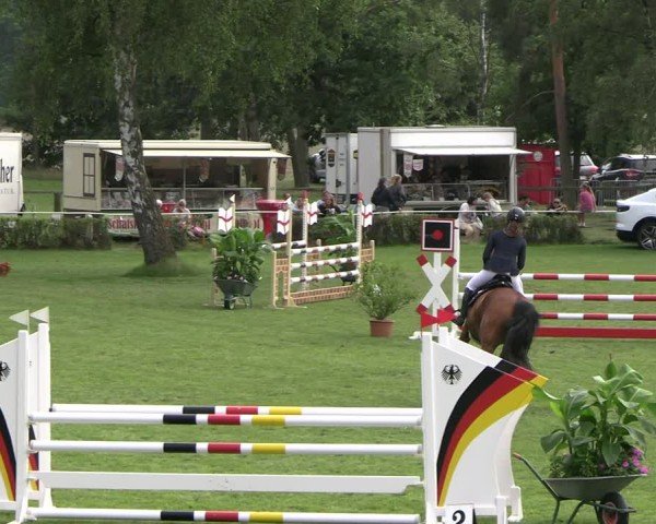 Reitturnier Etingen 2025