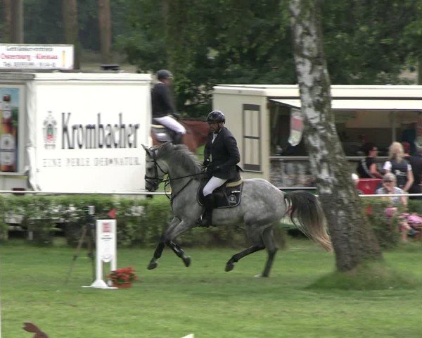 Reitturnier Etingen 2025