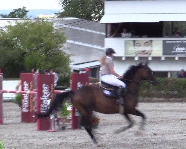 Reitturnier Bad Wildungen 2025