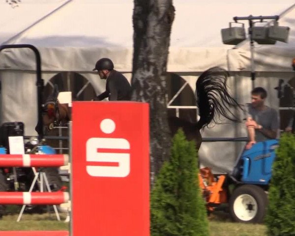Pfingst-Reitturnier Kreuzkrug-Raddestorf 2014