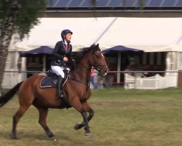 Pfingst-Reitturnier Kreuzkrug-Raddestorf 2014
