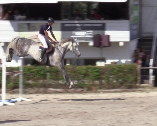 Reitturnier Bad Wildungen 2025