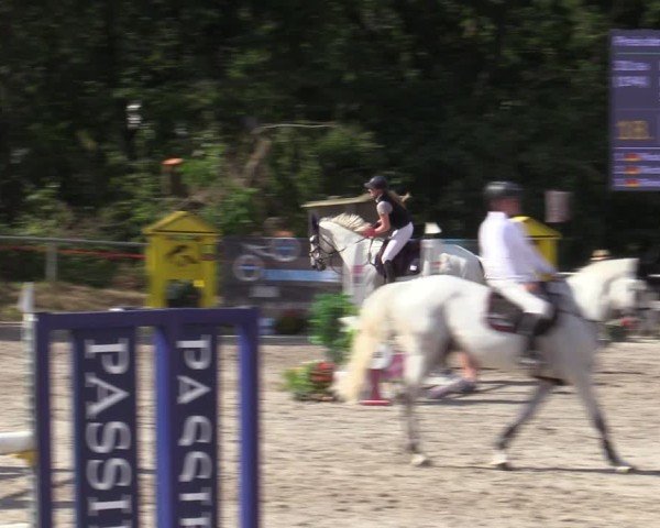 Reitturnier Bad Wildungen 2025