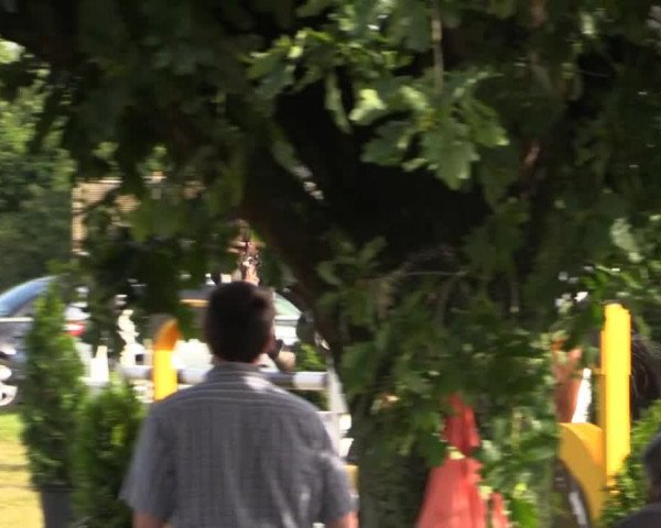 Pfingst-Reitturnier Kreuzkrug-Raddestorf 2014