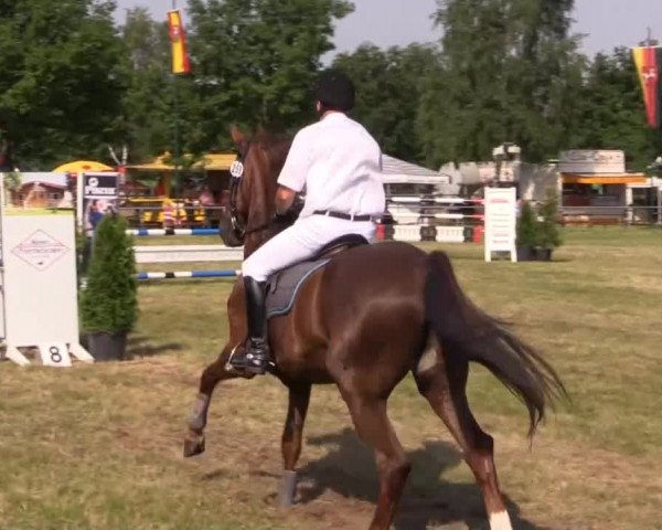 Pfingst-Reitturnier Kreuzkrug-Raddestorf 2014