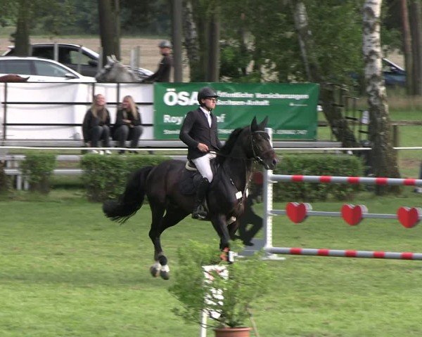 Reitturnier Etingen 2025