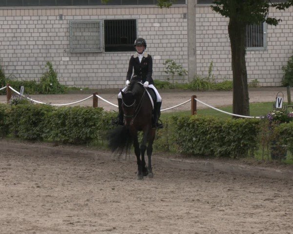 Reitturnier Olfen-Vinnum 2025