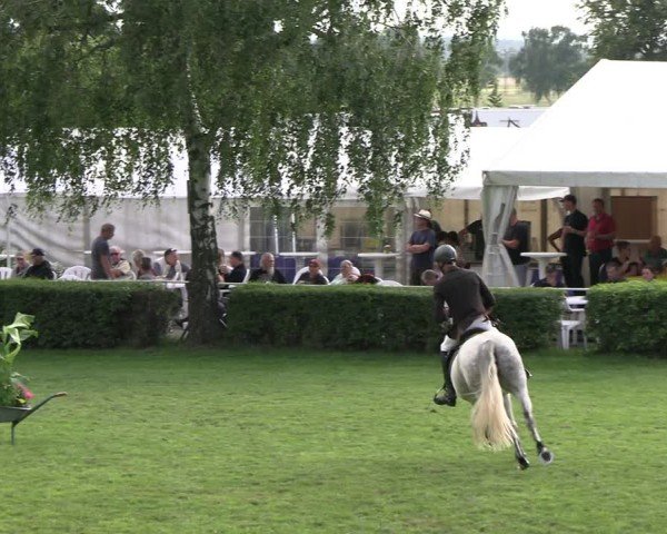 Reitturnier Etingen 2025