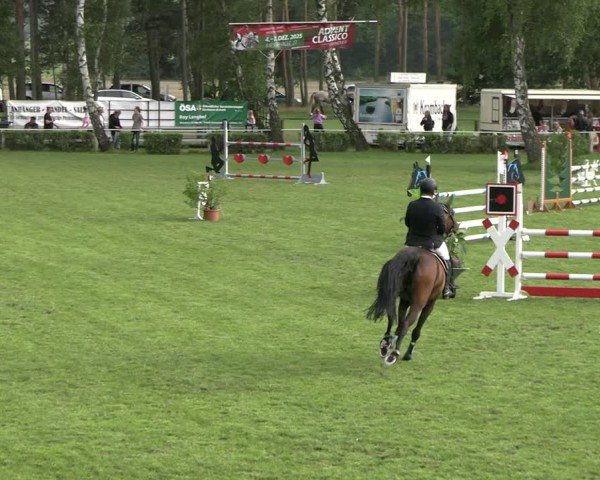 Reitturnier Etingen 2025