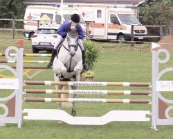 Springpferd Bella Caprice (Holsteiner, 2009, von C-Trenton Z)