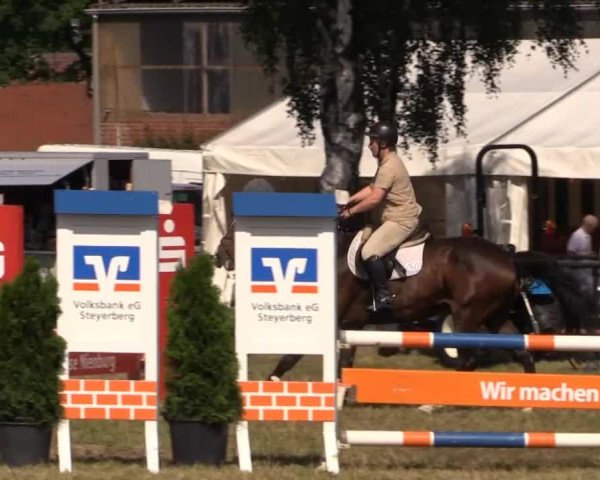 Pfingst-Reitturnier Kreuzkrug-Raddestorf 2014