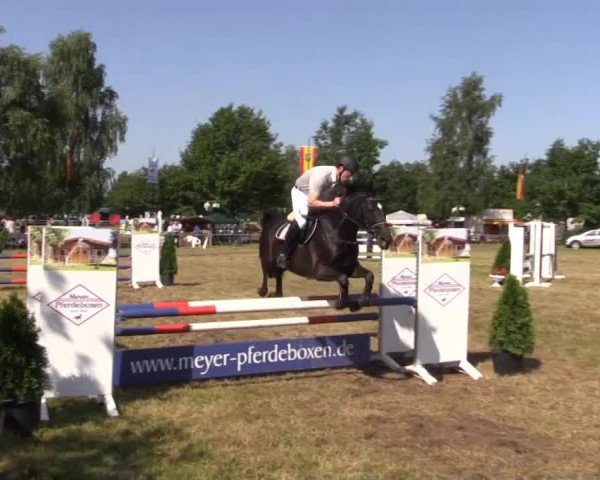 Pfingst-Reitturnier Kreuzkrug-Raddestorf 2014