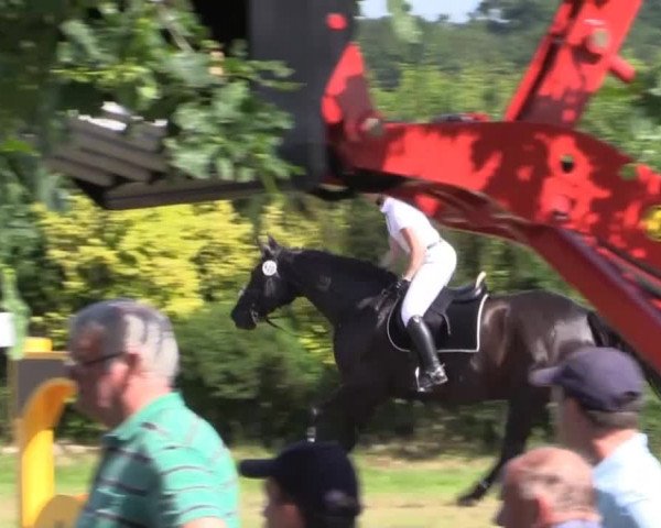 Pfingst-Reitturnier Kreuzkrug-Raddestorf 2014