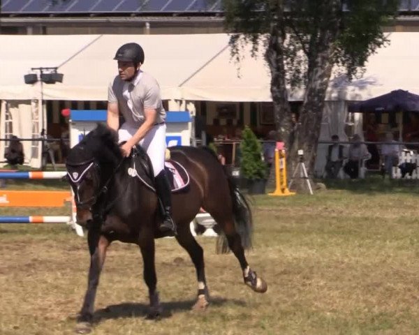 Pfingst-Reitturnier Kreuzkrug-Raddestorf 2014