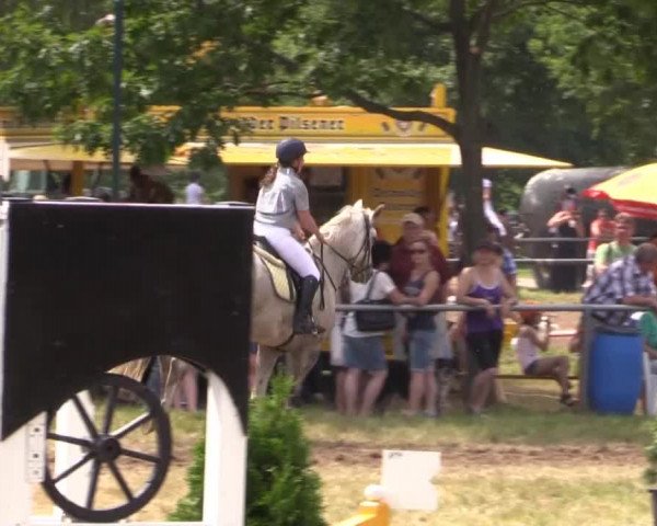 Pfingst-Reitturnier Kreuzkrug-Raddestorf 2014