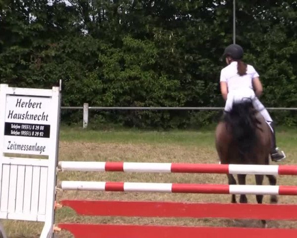 Pfingst-Reitturnier Kreuzkrug-Raddestorf 2014