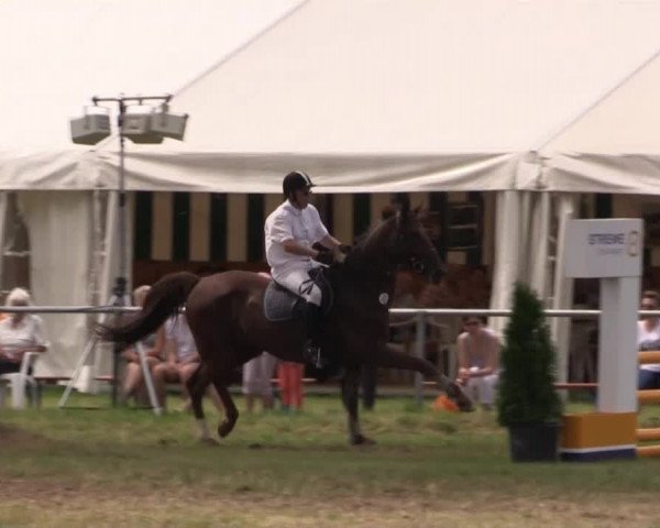 Pfingst-Reitturnier Kreuzkrug-Raddestorf 2014