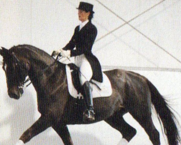 horse Ryalto (Oldenburg, 1999, from Rosier)