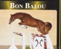 jumper Bon Balou (Oldenburg, 2004, from Balou du Rouet)