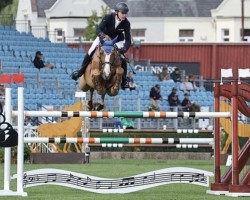 Springpferd WEC Mermus Rua (Irish Sport Horse, 2015, von Mermus R)