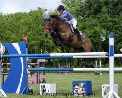 jumper Lissyegan Geoffrey (Irish Sport Horse, 2010, from Hermes de Reve)