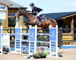 jumper Herle (KWPN (Royal Dutch Sporthorse), 2012, from Eldorado van de Zeshoek)