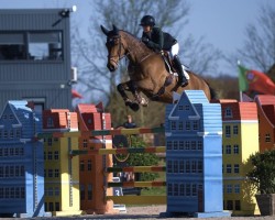 Springpferd HHS Figero (Irish Sport Horse, 2006, von Guidam)
